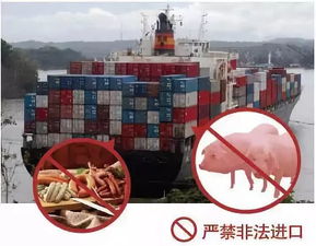 非洲豬瘟來襲，陸川豬肉還能安全食用嗎？科學解析與醫學研究進展